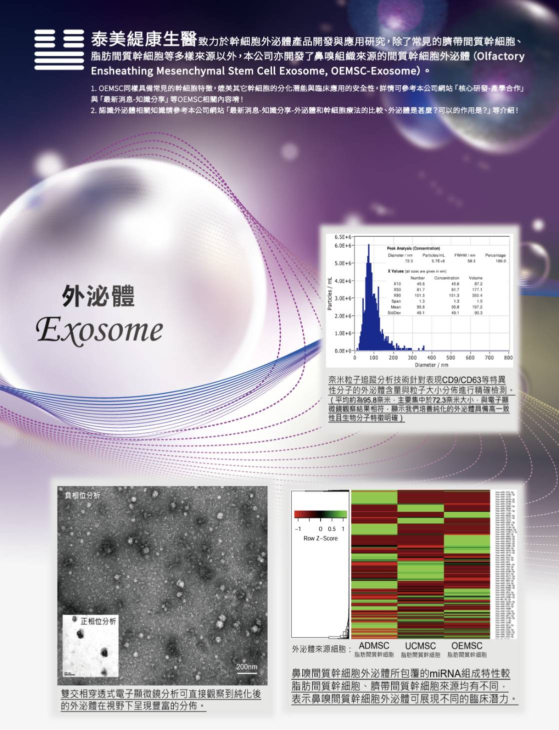 認識鼻嗅黏膜間質幹細胞的外泌體（OEMSC-Exosome）相關特性與臨床研究